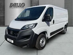 Weiß Neu 2024 Fiat Ducato Van | 27.490 € (Superpreis)