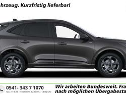 Frozen white Neu 2025 Ford Kuga ST-Line SUV | 33.630 € (Guter Preis)