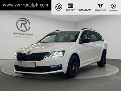 Candyweiss Gebraucht 2019 Skoda Octavia Ambition Kombi | 14.439 € (Fairer Preis)