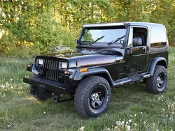 Schwarz Gebraucht 1990 Jeep Wrangler SUV | 14.900 €