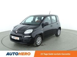 Schwarz Gebraucht 2020 Fiat Panda Easy Kleinwagen | 9.400 € (Fairer Preis)