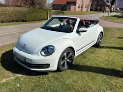 VW Beetle