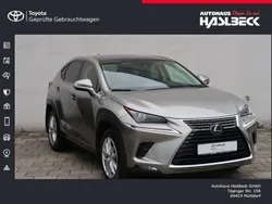 Silber Gebraucht 2020 Lexus NX300h Executive Line SUV | 30.440 € (Fairer Preis)