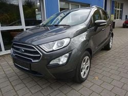 Magnetic Gebraucht 2019 Ford Ecosport SUV | 12.500 € (Fairer Preis)