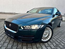 Grün Gebraucht 2015 Jaguar XE Limousine | 12.990 € (Etwas zu teuer)