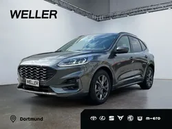 Grau Gebraucht 2024 Ford Kuga ST-Line SUV | 28.480 € (Fairer Preis)