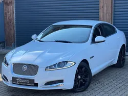 Weiß Gebraucht 2011 Jaguar XF Limousine | 12.499 € (Fairer Preis)