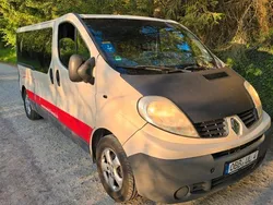 Beige Gebraucht 2008 Renault Trafic Van | 8.450 € (Etwas zu teuer)