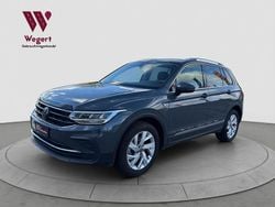 Delfingrau metallic Gebraucht 2023 VW Tiguan Move SUV | 25.490 € (Guter Preis)