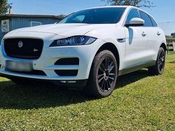 Weiß Gebraucht 2017 Jaguar F-Pace R-Sport SUV | 16.200 € (Etwas zu teuer)