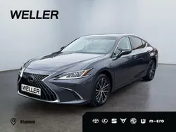 Grau Gebraucht 2024 Lexus ES300H Business Edition Limousine | 39.680 €