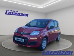 Rot Gebraucht 2025 Fiat Panda | 13.979 € (Guter Preis)