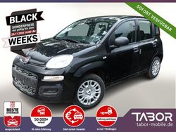 Cinema schwarz Neu 2025 Fiat Panda Kleinwagen | 13.644 € (Fairer Preis)
