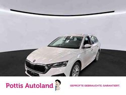 Candyweiß Gebraucht 2023 Skoda Octavia Style Kombi | 23.777 € (Fairer Preis)