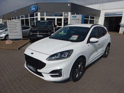 Weiß Gebraucht 2020 Ford Kuga ST-Line X SUV | 27.990 €