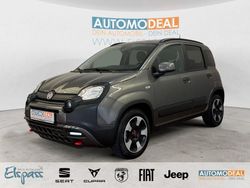 Colosseo grau) (grau Gebraucht 2024 Fiat Panda Kleinwagen | 14.489 € (Etwas zu teuer)
