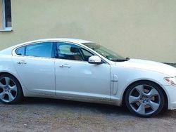 Weiß Gebraucht 2008 Jaguar XF Limousine | 8.900 €