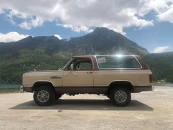 Braun Gebraucht 1983 Dodge Ram Abholung | 19.999 €