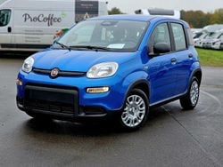 Blau Neu 2024 Fiat Panda Kleinwagen | 13.480 € (Guter Preis)