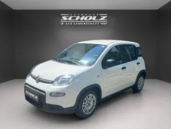 Gelato weiß Neu 2024 Fiat Panda Kleinwagen | 15.490 € (Fairer Preis)