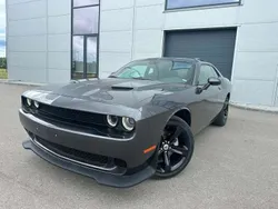 Granit Gebraucht 2021 Dodge Challenger Coupé | 26.500 € (Fairer Preis)