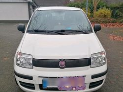 Weiß Gebraucht 2012 Fiat Panda Kleinwagen | 3.650 € (Fairer Preis)