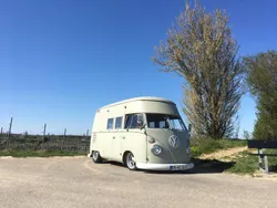 VW T1