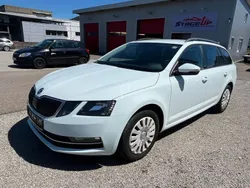 Weiß Gebraucht 2019 Skoda Octavia Style Kombi | 9.999 € (Guter Preis)