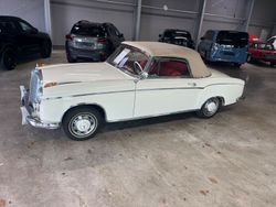 Weiß Gebraucht 1961 Mercedes 220 Cabrio | 143.500 €