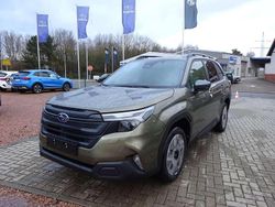 Autumn green Neu 2025 Subaru Forester Exclusive+ SUV | 43.068 € (Fairer Preis)