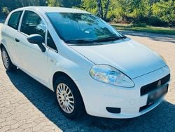 Weiß Gebraucht 2012 Fiat Punto Kleinwagen | 2.799 € (Fairer Preis)