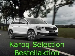 Blau Neu 2025 Skoda Karoq Selection SUV | 34.020 € (Fairer Preis)