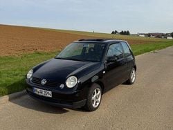 Schwarz Gebraucht 2003 VW Lupo Kleinwagen | 1.299 € (Guter Preis)