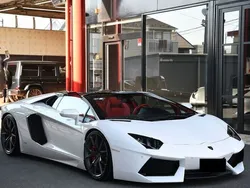 Weiß Gebraucht 2014 Lamborghini Aventador Cabrio | 290.000 €