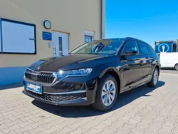 Graphite grau metallic Neu 2024 Skoda Octavia Selection Kombi | 32.590 € (Fairer Preis)