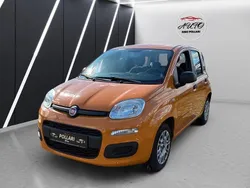 Orange Gebraucht 2019 Fiat Panda Kleinwagen | 5.800 € (Guter Preis)