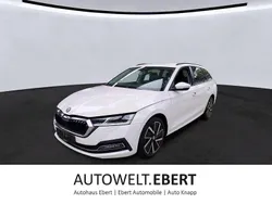 Candyweiss Gebraucht 2021 Skoda Octavia Kombi | 24.690 € (Fairer Preis)