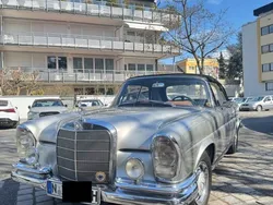 Silber Gebraucht 1966 Mercedes 250 SE Cabrio | 110.000 €