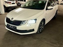 Weiß Gebraucht 2019 Skoda Octavia Soleil Kombi | 9.200 € (Superpreis)