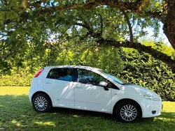 Weiß Gebraucht 2008 Fiat Punto Kleinwagen | 1.400 €