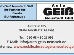 Grau Neu 2025 Skoda Octavia Selection Limousine | 30.499 € (Etwas zu teuer)