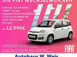 601 Neu 2024 Fiat Panda Kleinwagen | 14.440 € (Fairer Preis)