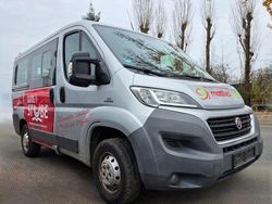 Grau Gebraucht 2015 Fiat Ducato Van | 9.990 € (Fairer Preis)