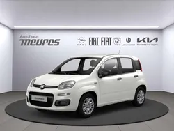 Gelato weis Neu 2025 Fiat Panda Kleinwagen | 13.950 € (Fairer Preis)