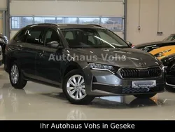 Grau Gebraucht 2024 Skoda Octavia Selection Kombi | 32.470 € (Guter Preis)