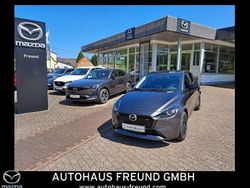 Grau Gebraucht 2024 Mazda 2 Homura-Line Limousine | 18.590 € (Fairer Preis)
