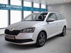 Silber Gebraucht 2020 Skoda Fabia Ambition Kleinwagen | 12.480 € (Fairer Preis)