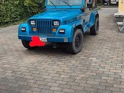Blau Gebraucht 1994 Jeep Wrangler SUV | 14.000 €