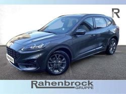 Grau Gebraucht 2023 Ford Kuga ST-Line X SUV | 23.990 € (Guter Preis)