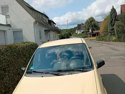 Gelb Gebraucht 2009 Fiat Panda Kleinwagen | 1.500 €